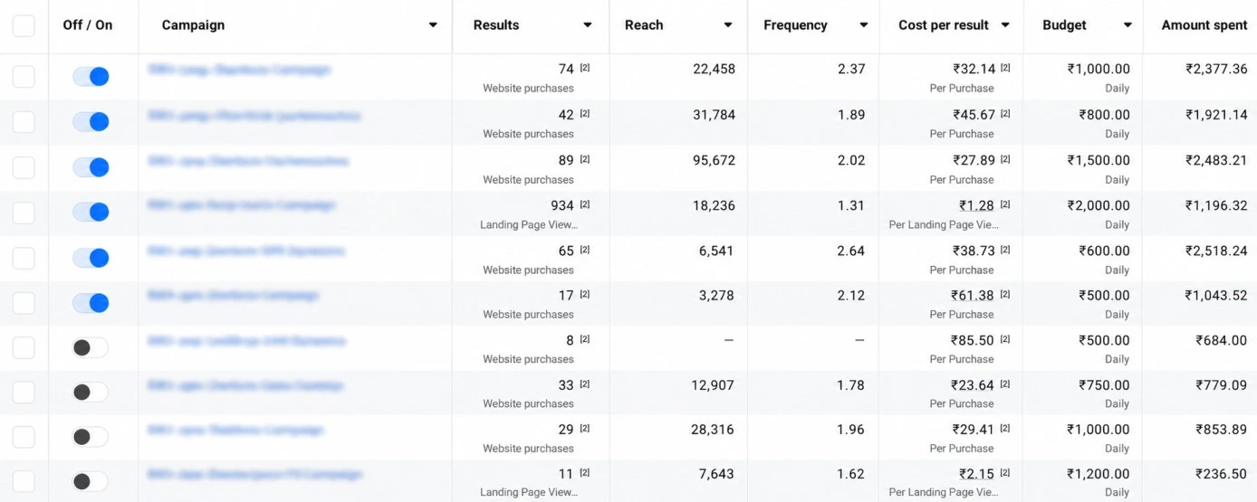 Meta Ads Campaign Conversion Results Case Study by LeadScale Media 